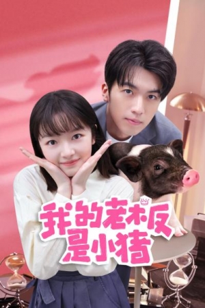 My Piggy Boss (2024) หัวหน้าฉันเป็นหมูน้อย (ซับไทย)