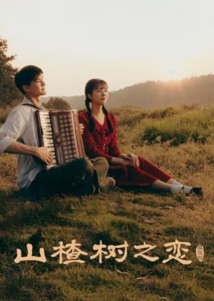 When The Hawthorn Blooms (2025) ซับไทย